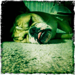 Hip 335764196.376113