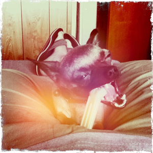 Hip 335654352.831847