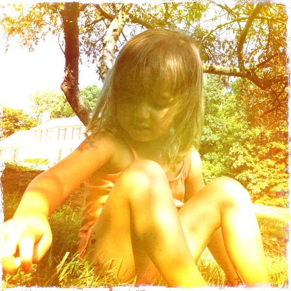 Hip 335566219.104481