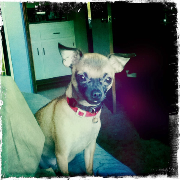 Hip 335656856.038601