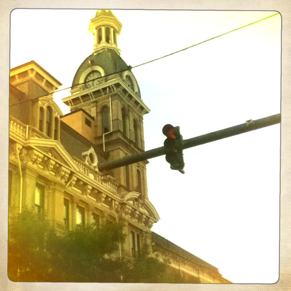 Hip 335744360.141701