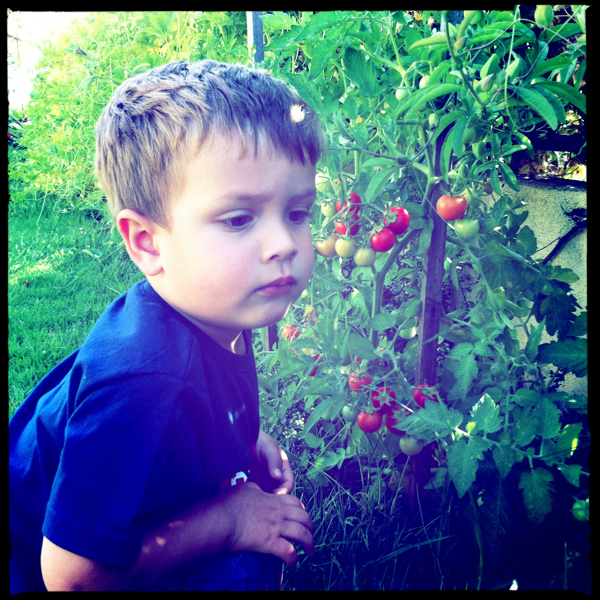 Hip 335750362.668384