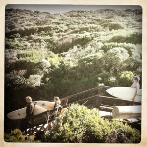 Hip 332656547.630066