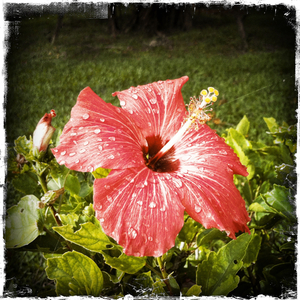 Hip 335603681.706231