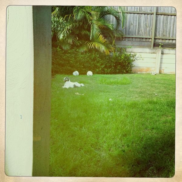 Hip 328247157.959036