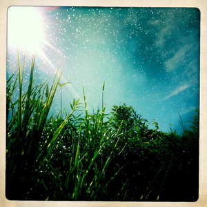 Hip 335541371.129938