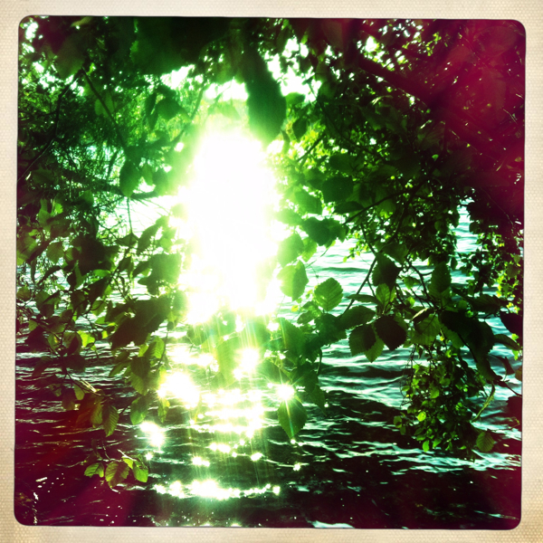 Hip 335497939.013100