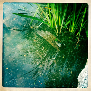 Hip 335579119.139583