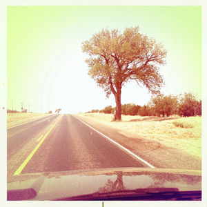 Hip 335646183.386469