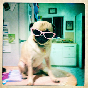 Hip 335772753.012915