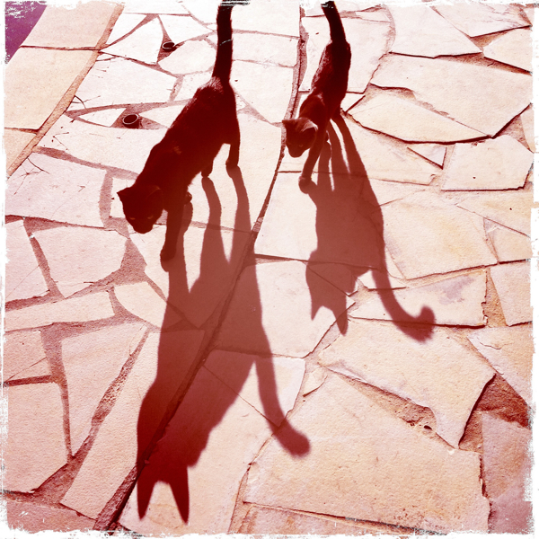 Hip 335768874.852809