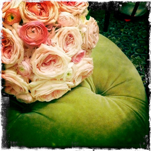 Hip 335570743.661524