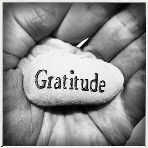 Hip 335685222.774257