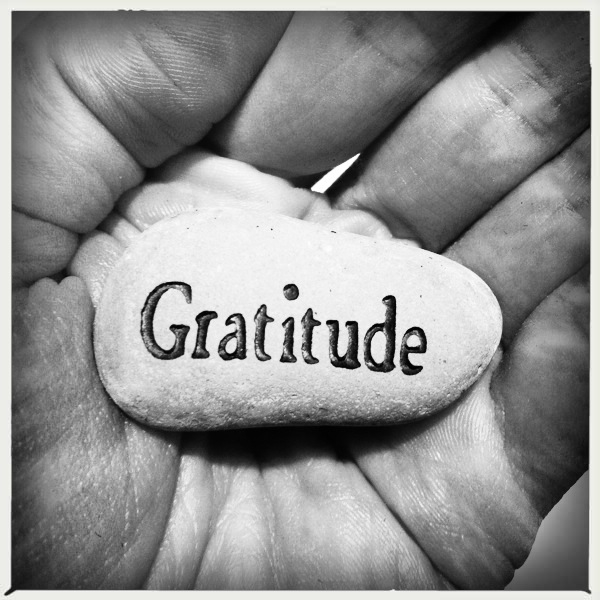 Hip 335685222.774257