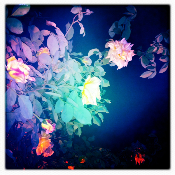 Hip 326491649.302473