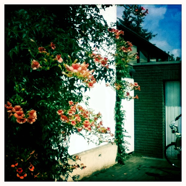 Hip 335532034.170428