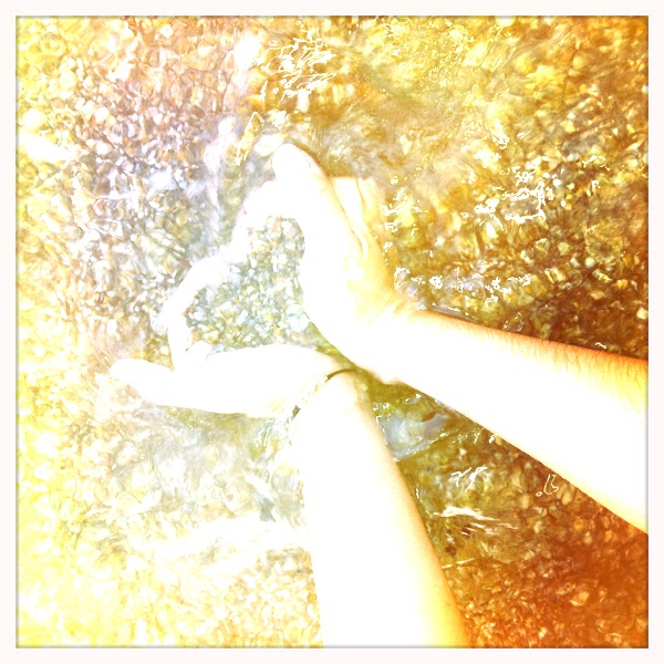 Hip 335636888.670111