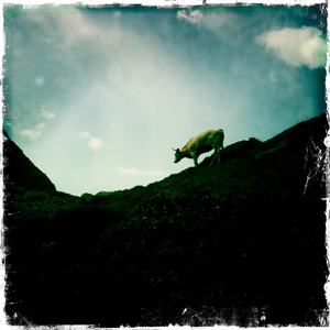 Hip 335710559.174013