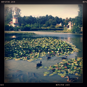 Hip 334857423.467776