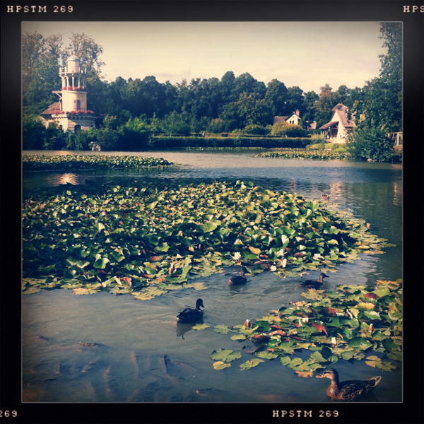 Hip 334857423.467776