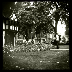 Hip 335558839.895046