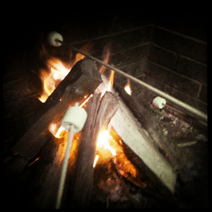 Hip 335576801.747344