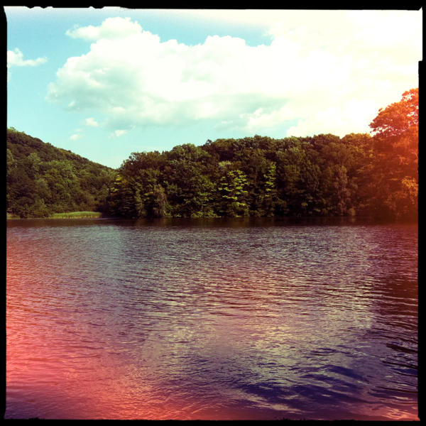 Hip 332542966.368567