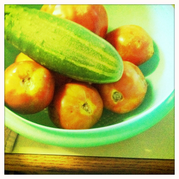 Hip 335802493.377065