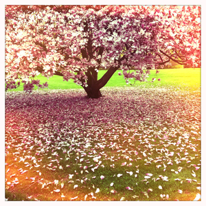 Hip 325979691.781218