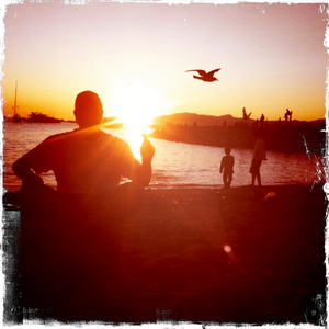 Hip 334380788.659904