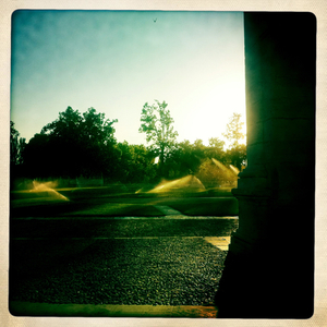 Hip 330202799.145161