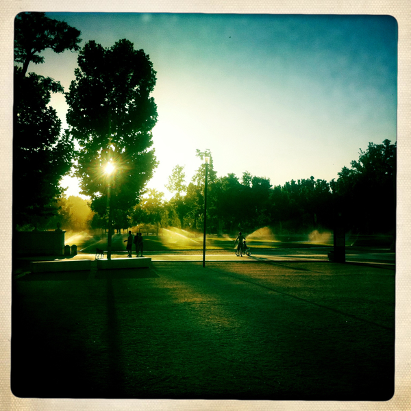 Hip 330202907.839524