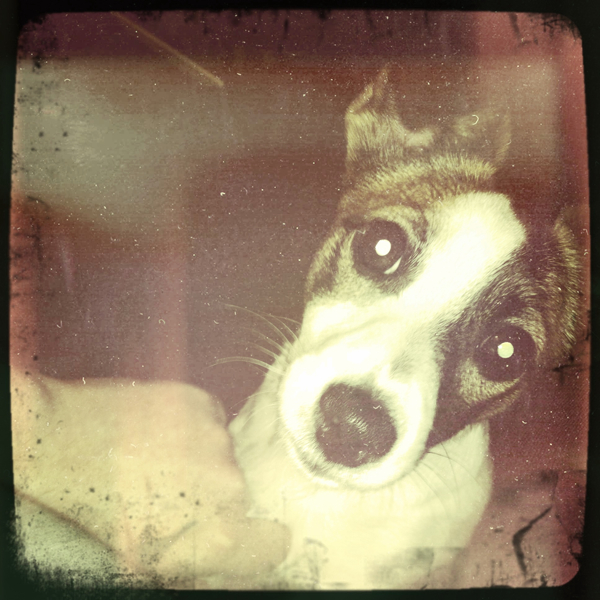 Hip 314227568.462693