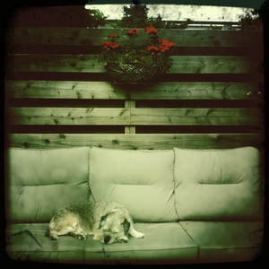 Hip 335280328.854565