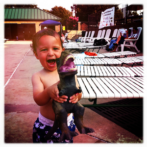 Hip 332806971.995159