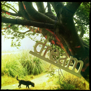 Hip 333043286.190594