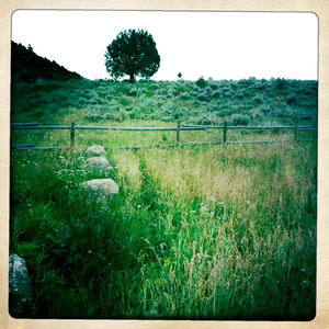 Hip 335410070.827622