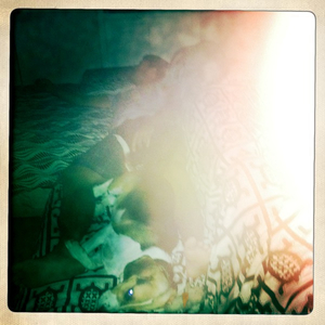 Hip 335813487.273998