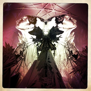 Hip 334535121.858110