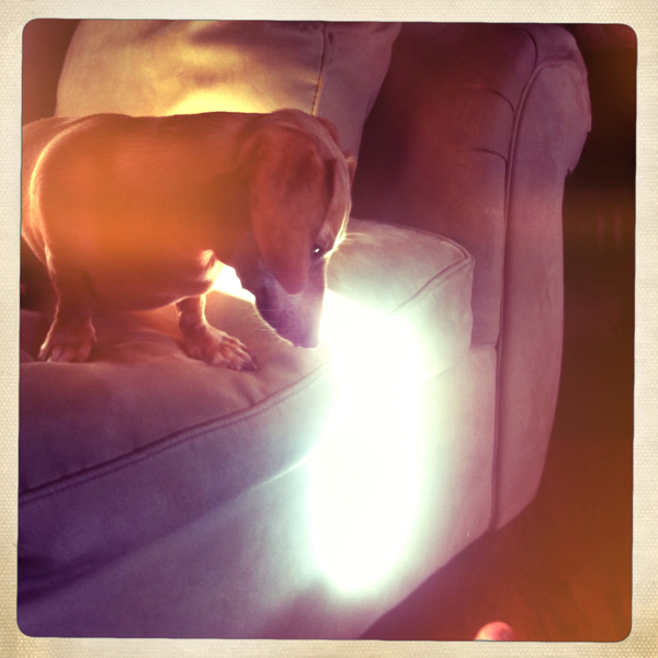 Hip 335707282.575991