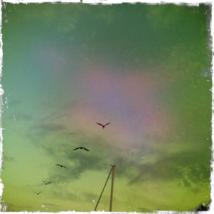 Hip 326335091.890649