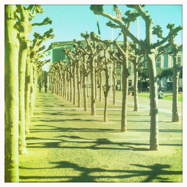 Hip 317247799.253864