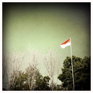 Hip 333421941.078771