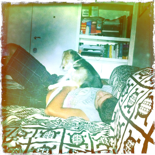 Hip 335816861.570866