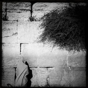 Hip 335629835.757347