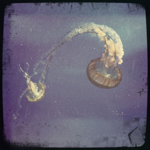 Hip 334808040.118042