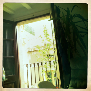 Hip 335811479.526736