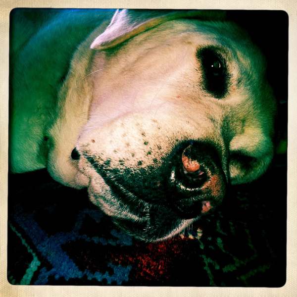 Hip 335194866.737016