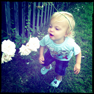 Hip 330983029.741248