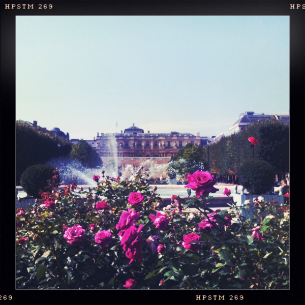 Hip 333880488.245209